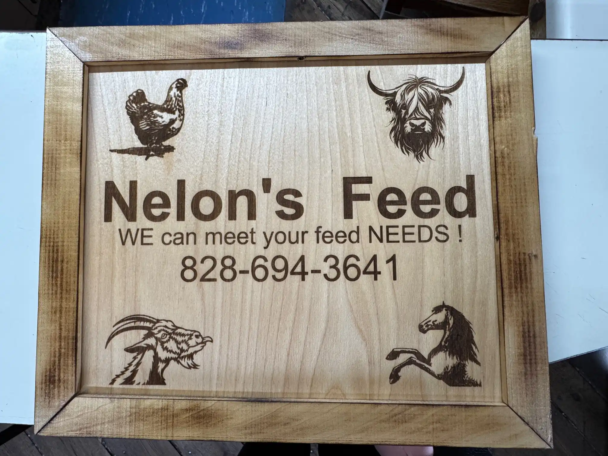 Nelon’s Feed